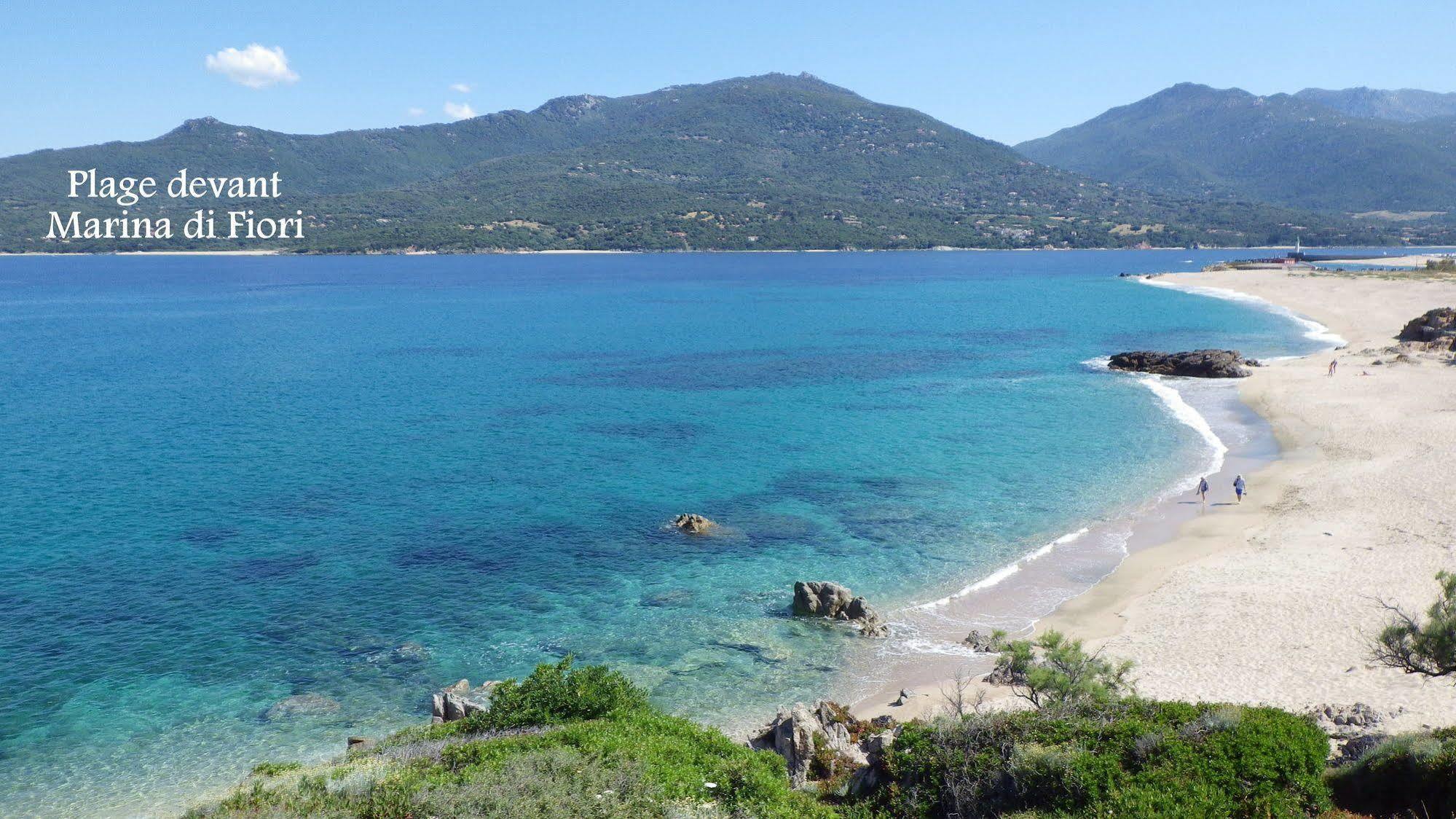 Marina Di Fiori Lejlighed Propriano  Eksteriør billede